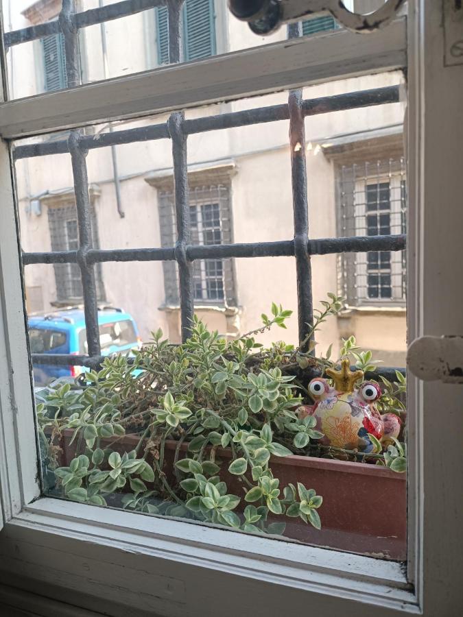 La Chiocciolina Apartment Lucca Ngoại thất bức ảnh