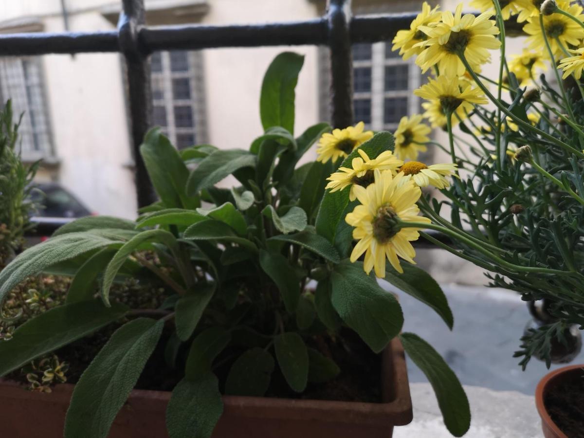 La Chiocciolina Apartment Lucca Ngoại thất bức ảnh